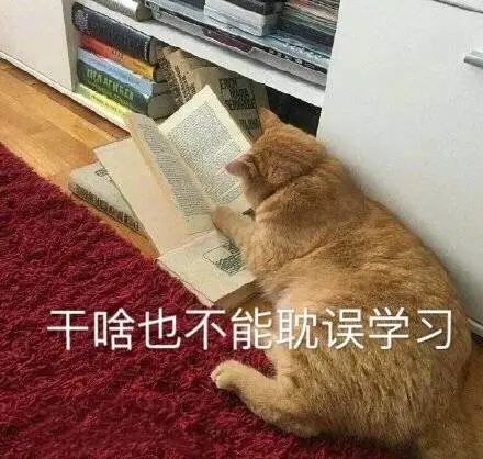 学习通微表情4.4（学微表情有什么作用）